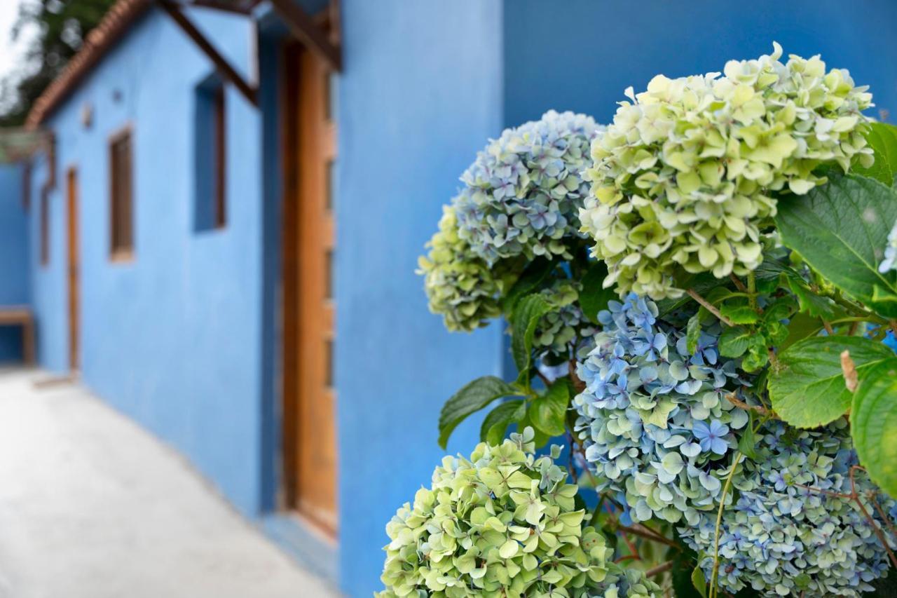 Casa Azul Del Roque Negro Villa Santa Cruz de Tenerife Eksteriør billede